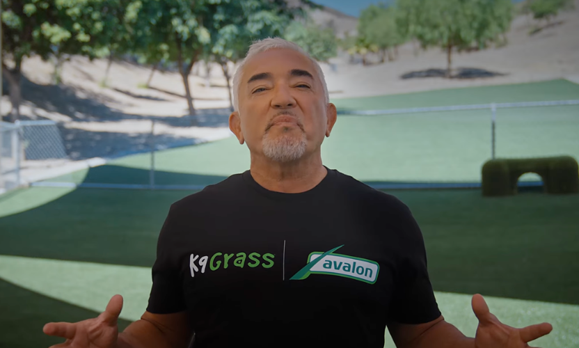 Cesar Millan Chooses K9 Grass