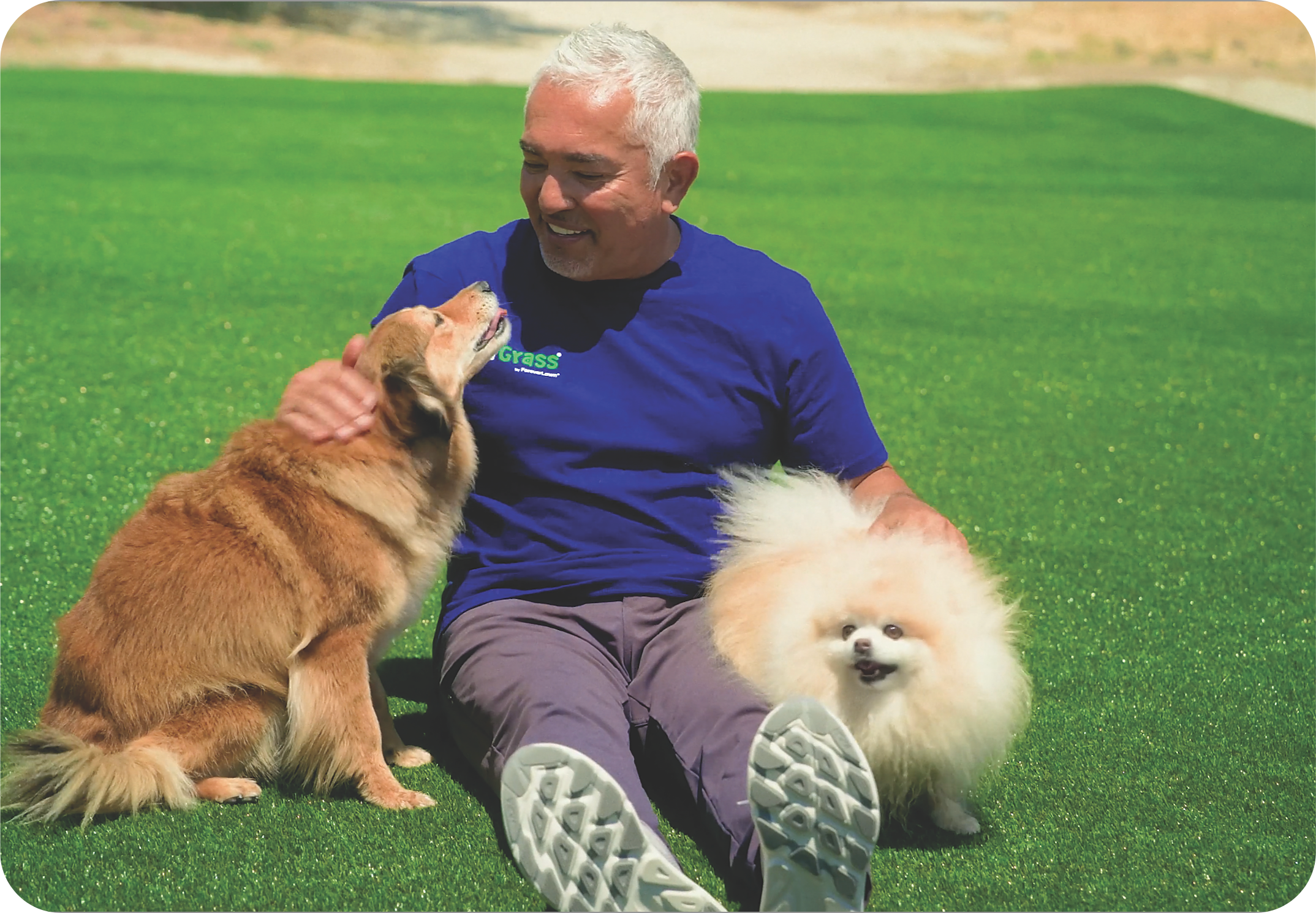 fake grass for dogs