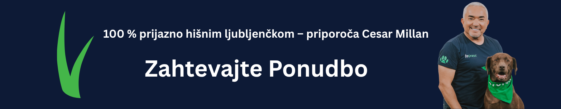 Ponudba za umetno travo
